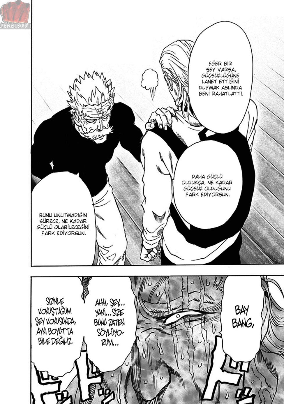 Read Tek Yumruk TR Manga Online