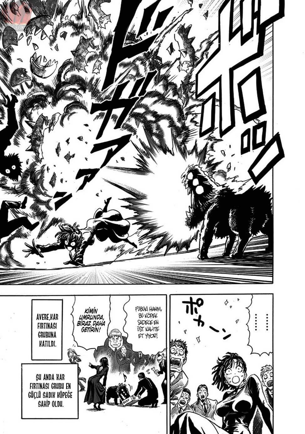 Read Tek Yumruk TR Manga Online