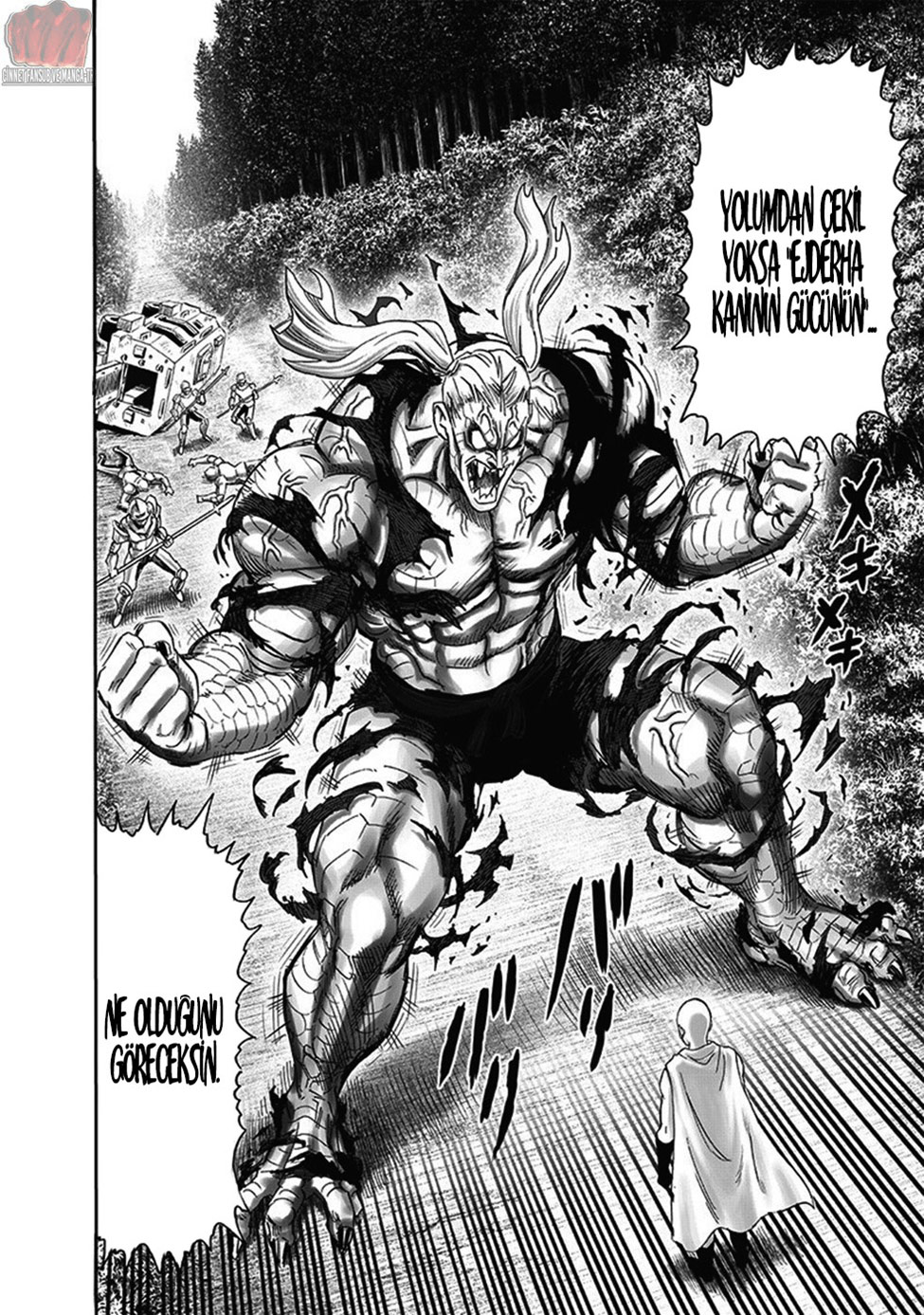 Read Tek Yumruk TR Manga Online