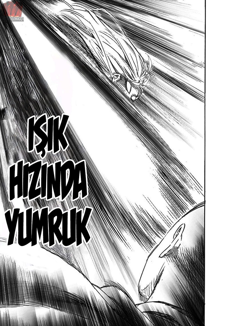 Read Tek Yumruk TR Manga Online