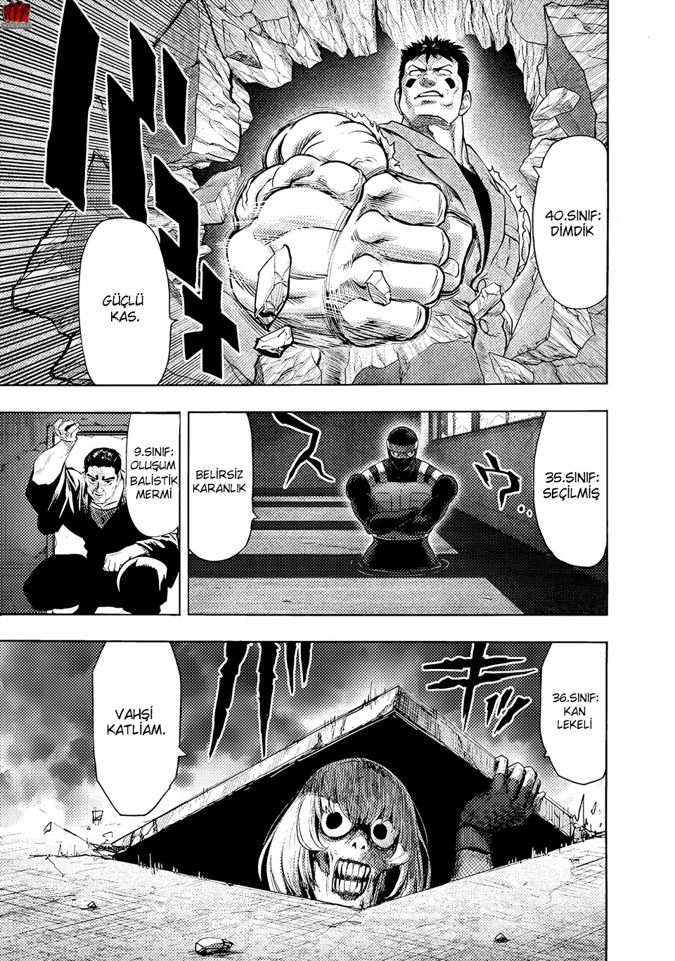 Read Tek Yumruk TR Manga Online