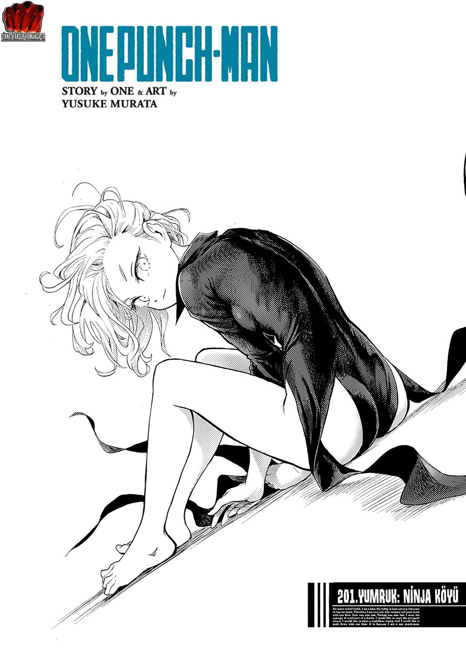 Read Tek Yumruk TR Manga Online