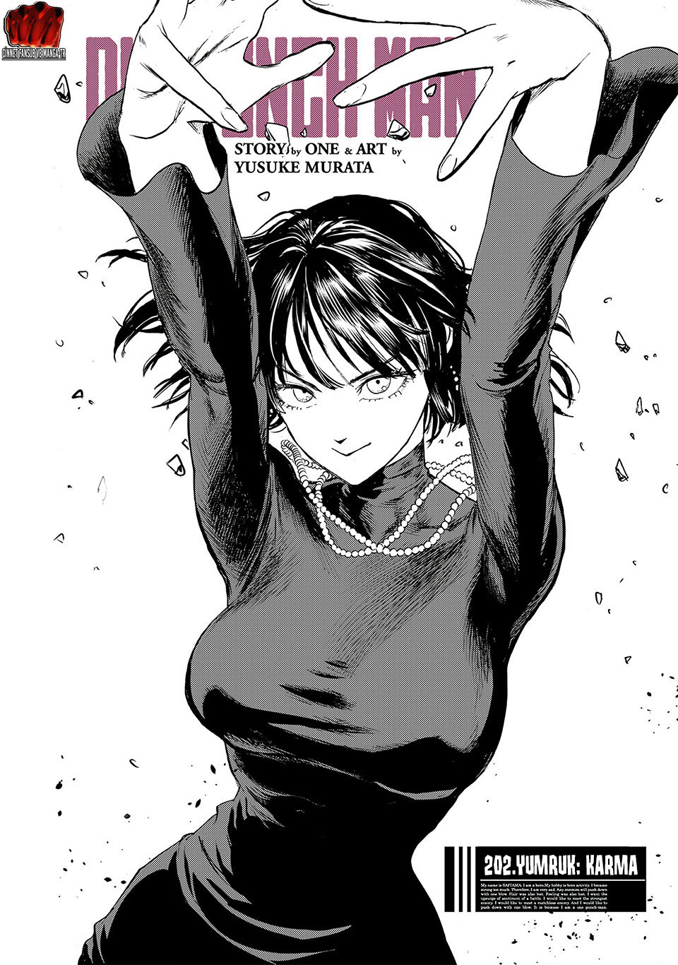 Read Tek Yumruk TR Manga Online