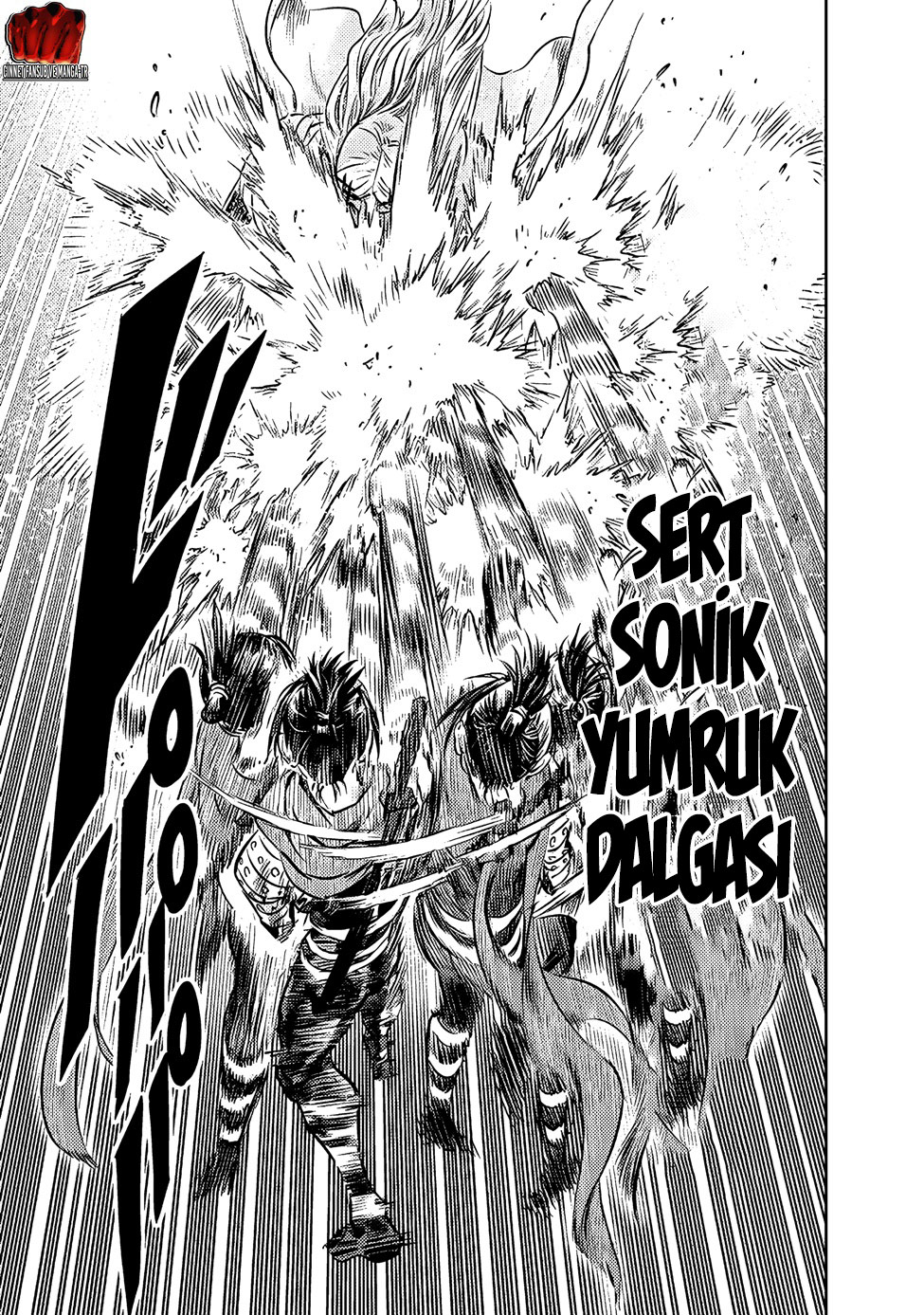 Read Tek Yumruk TR Manga Online