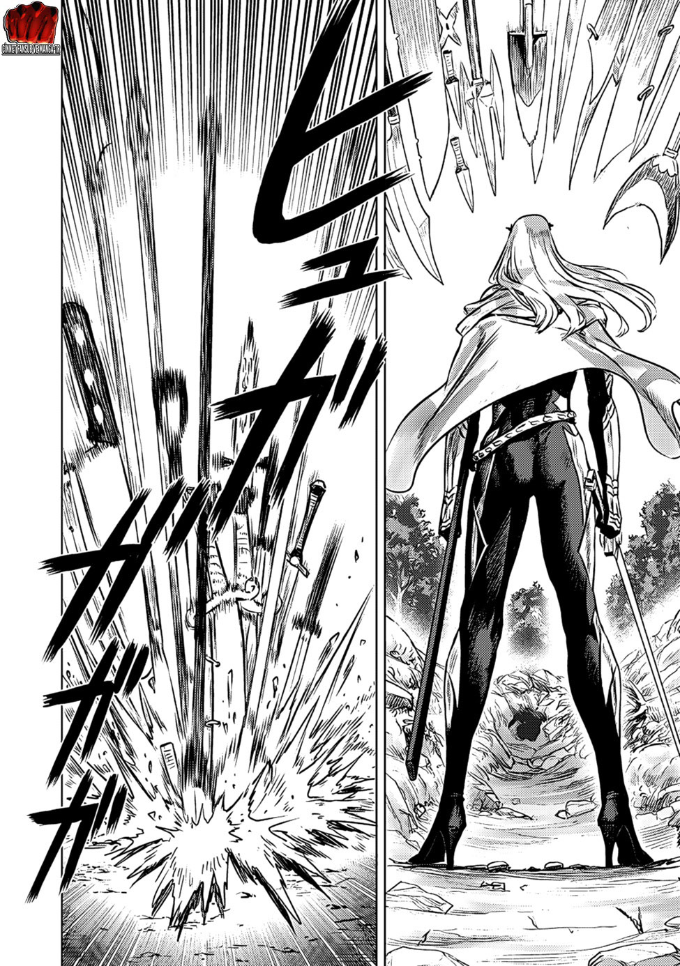 Read Tek Yumruk TR Manga Online