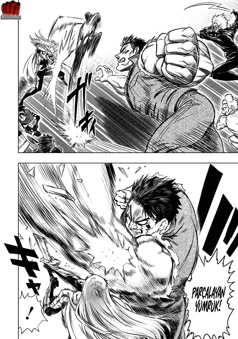 Read Tek Yumruk TR Manga Online