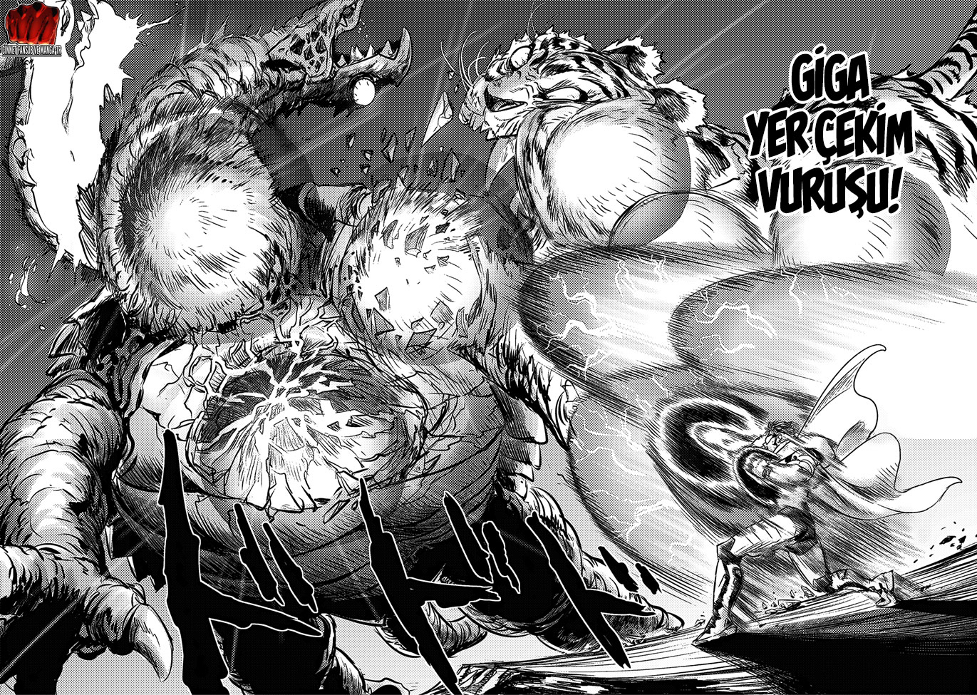 Read Tek Yumruk TR Manga Online