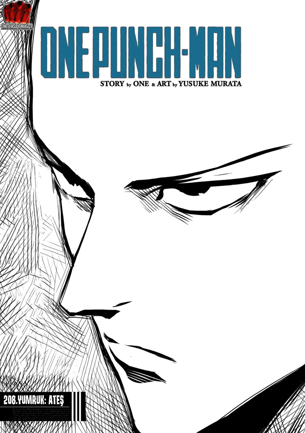 Read Tek Yumruk TR Manga Online