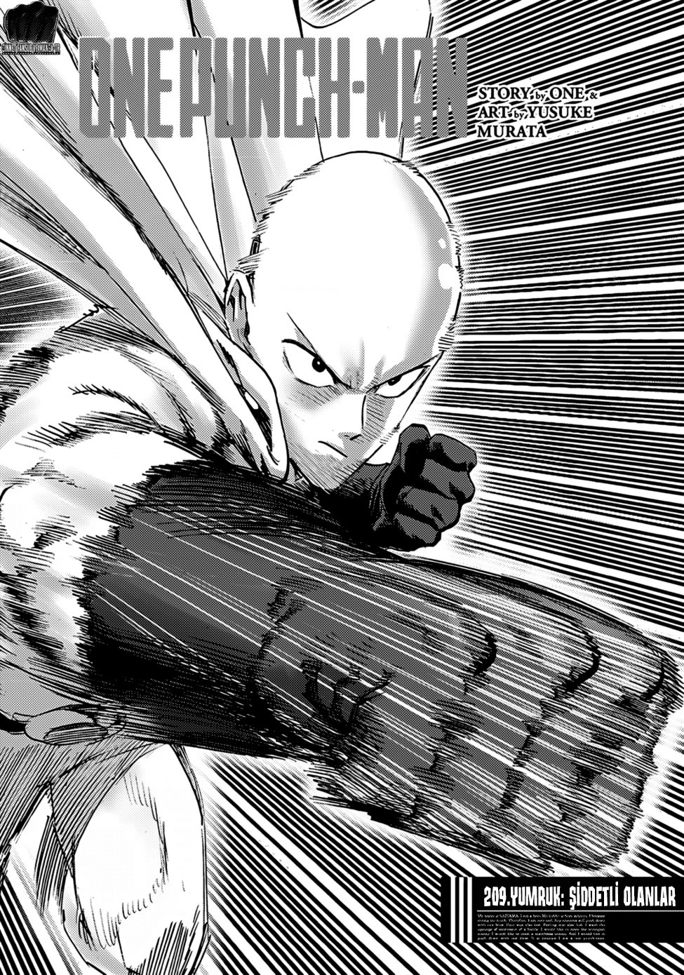 Read Tek Yumruk TR Manga Online