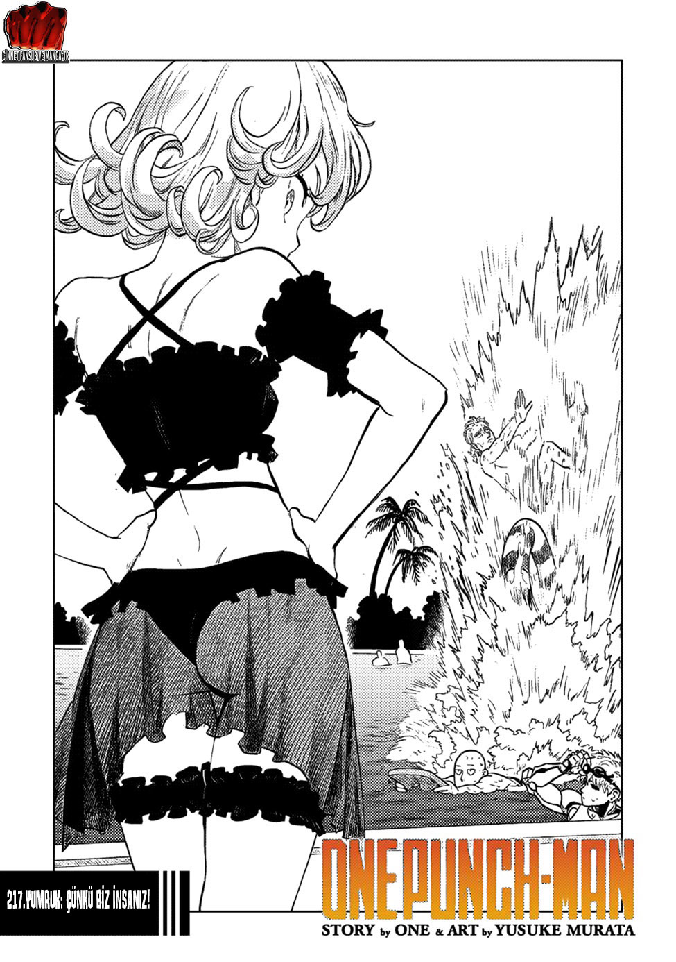 Read Tek Yumruk TR Manga Online