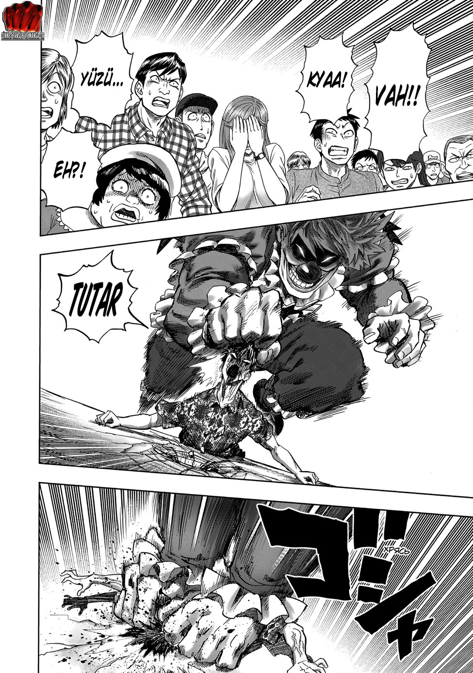 Read Tek Yumruk TR Manga Online