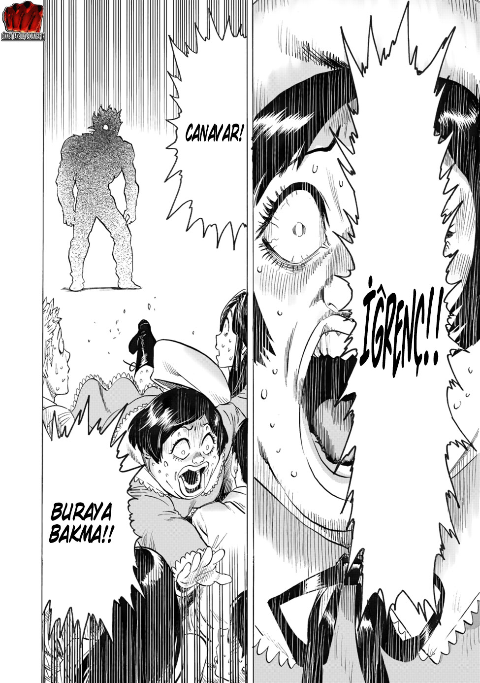 Read Tek Yumruk TR Manga Online