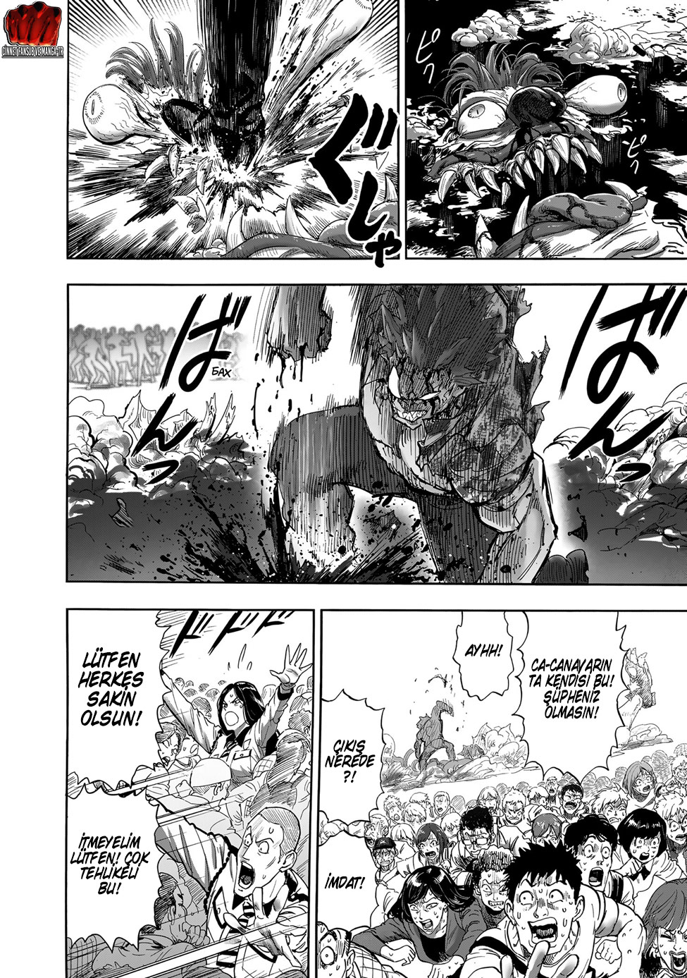 Read Tek Yumruk TR Manga Online