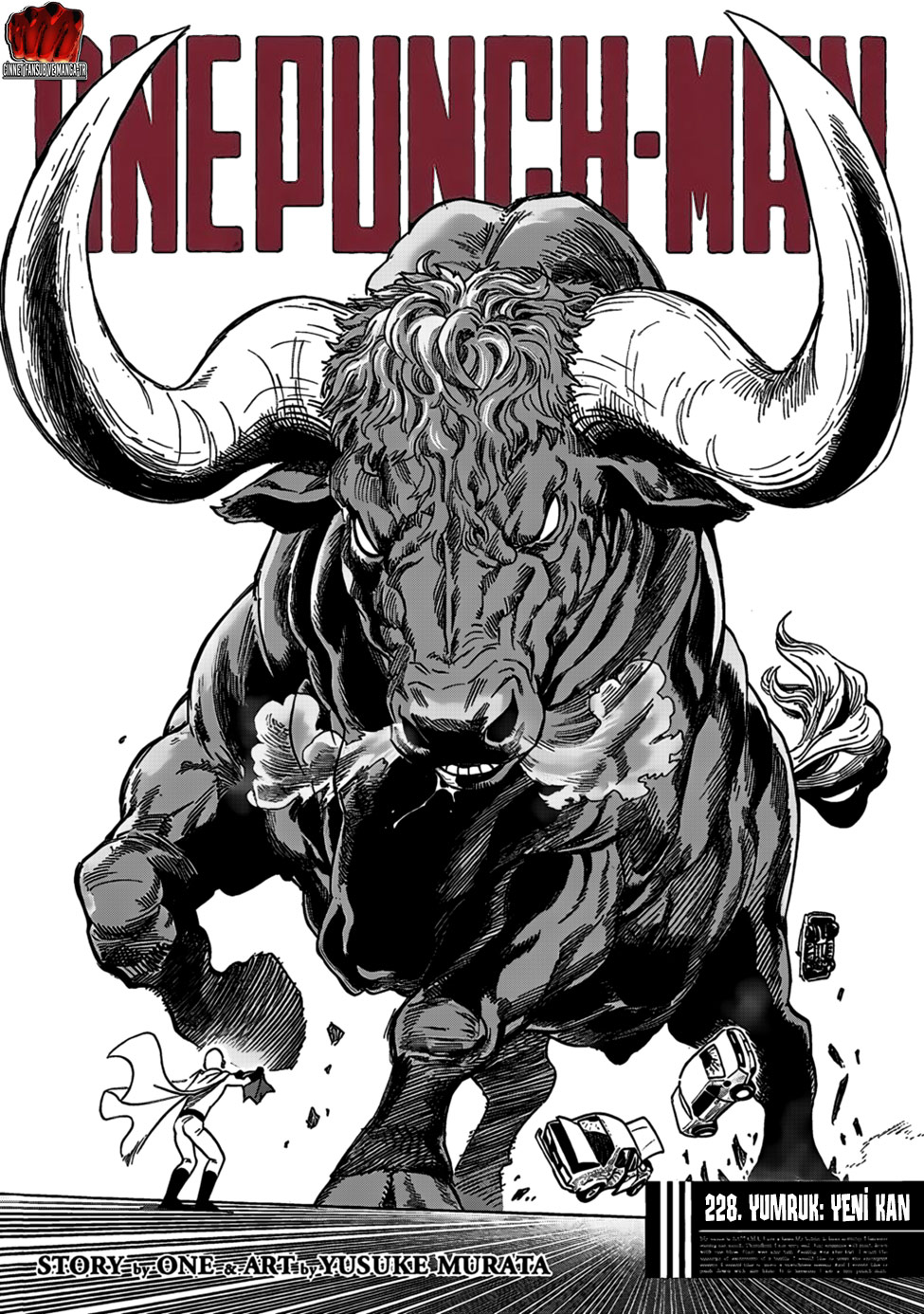 Read Tek Yumruk TR Manga Online