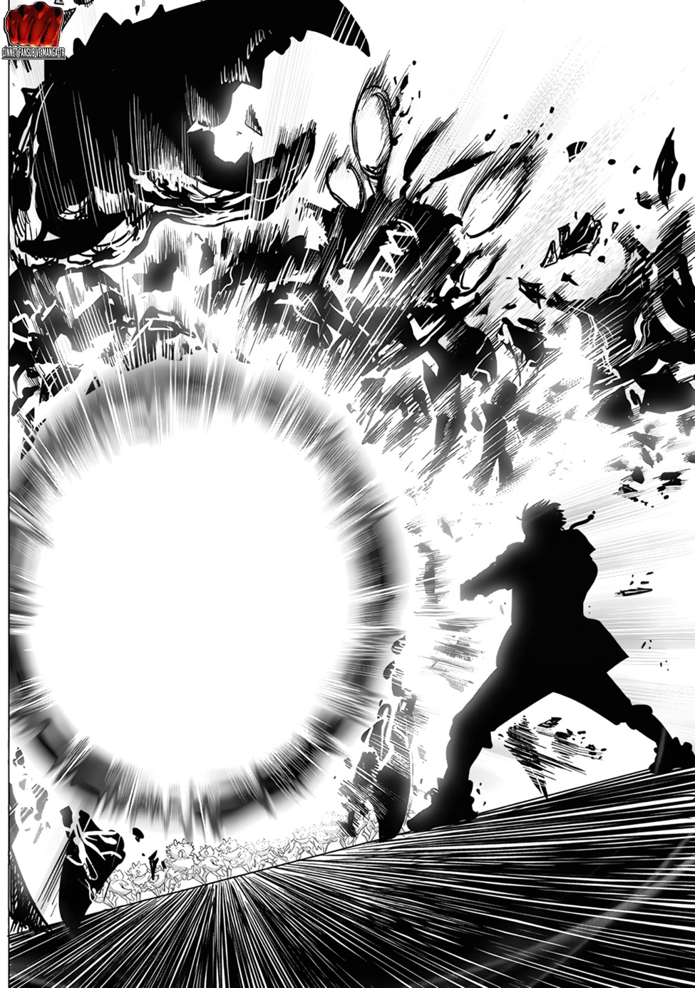 Read Tek Yumruk TR Manga Online